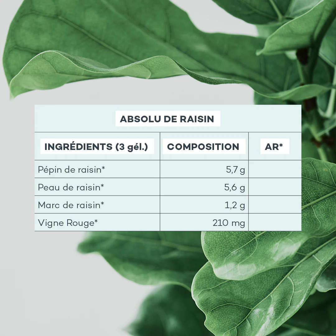 Absolu de Raisin - 7 jours - Image 4