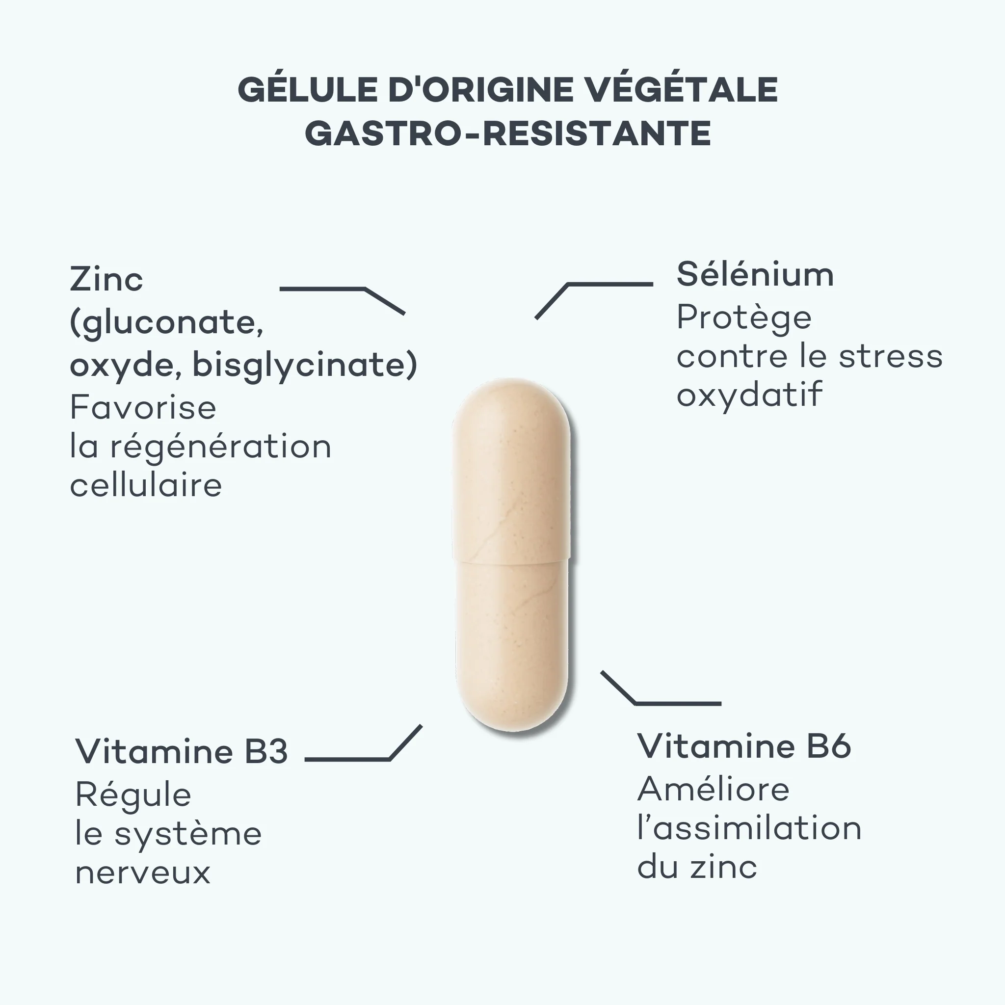 Absolu de Zinc - Image 3