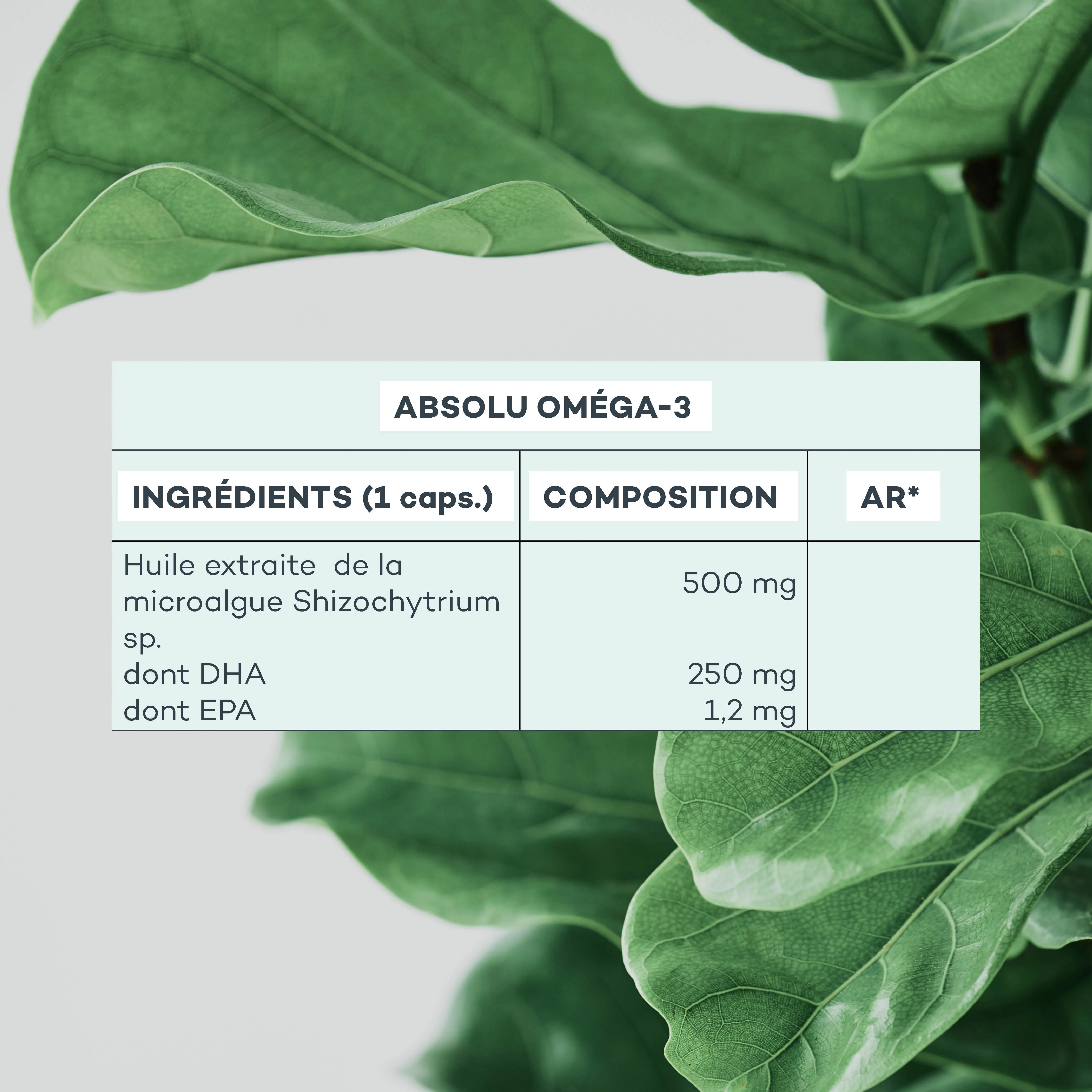 Absolu Oméga-3 - Image 5