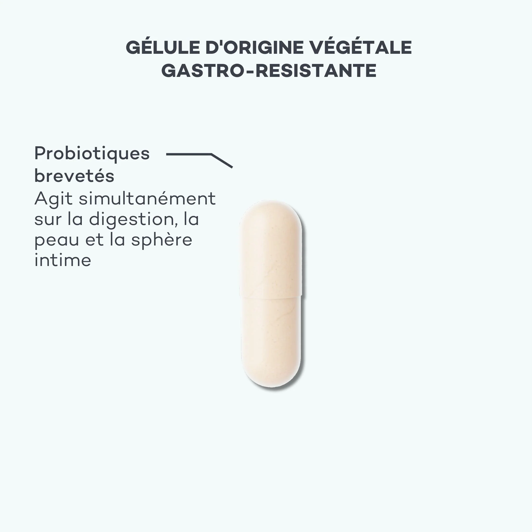 Absolu Probiotiques 360° - Image 3