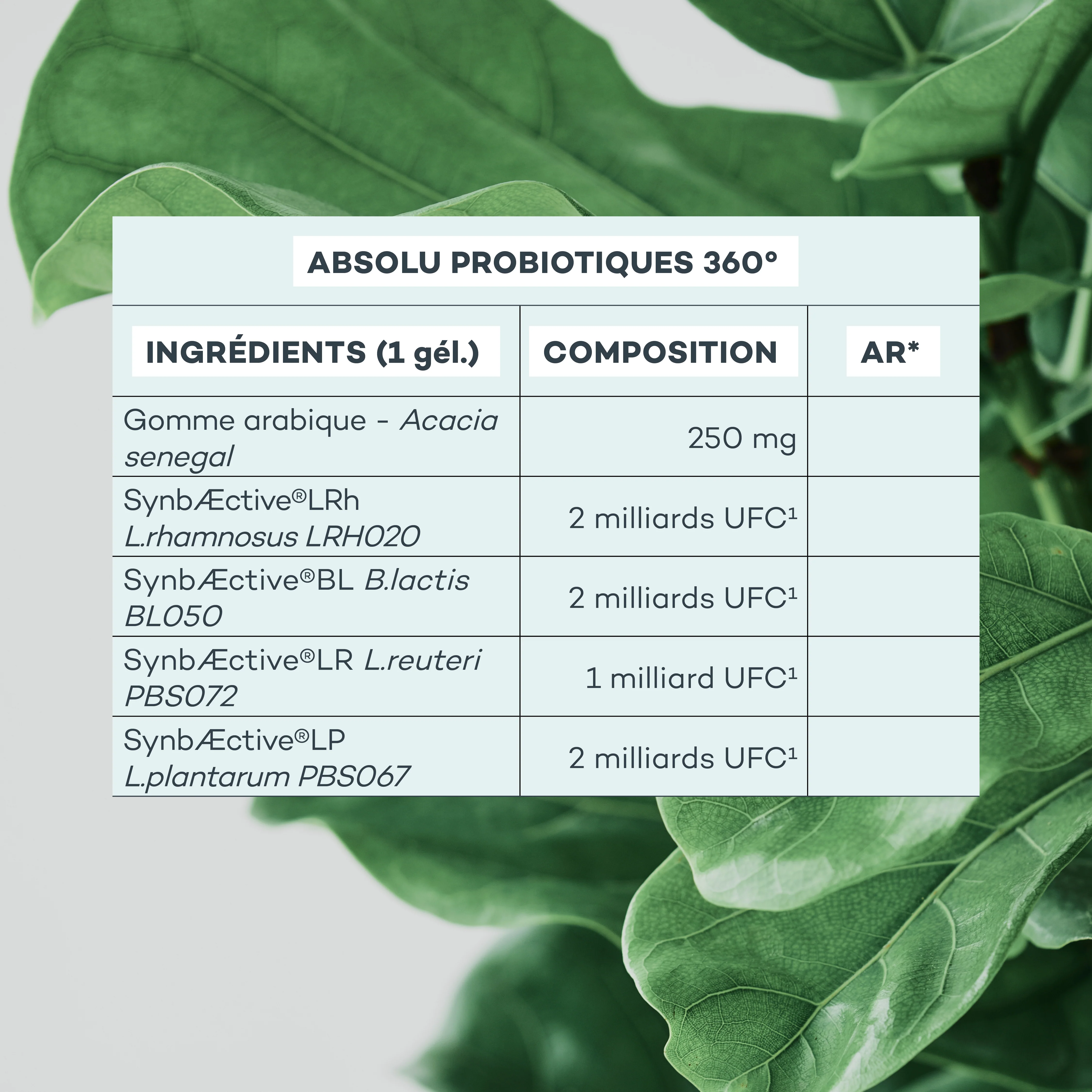 Absolu Probiotiques 360° - Image 5