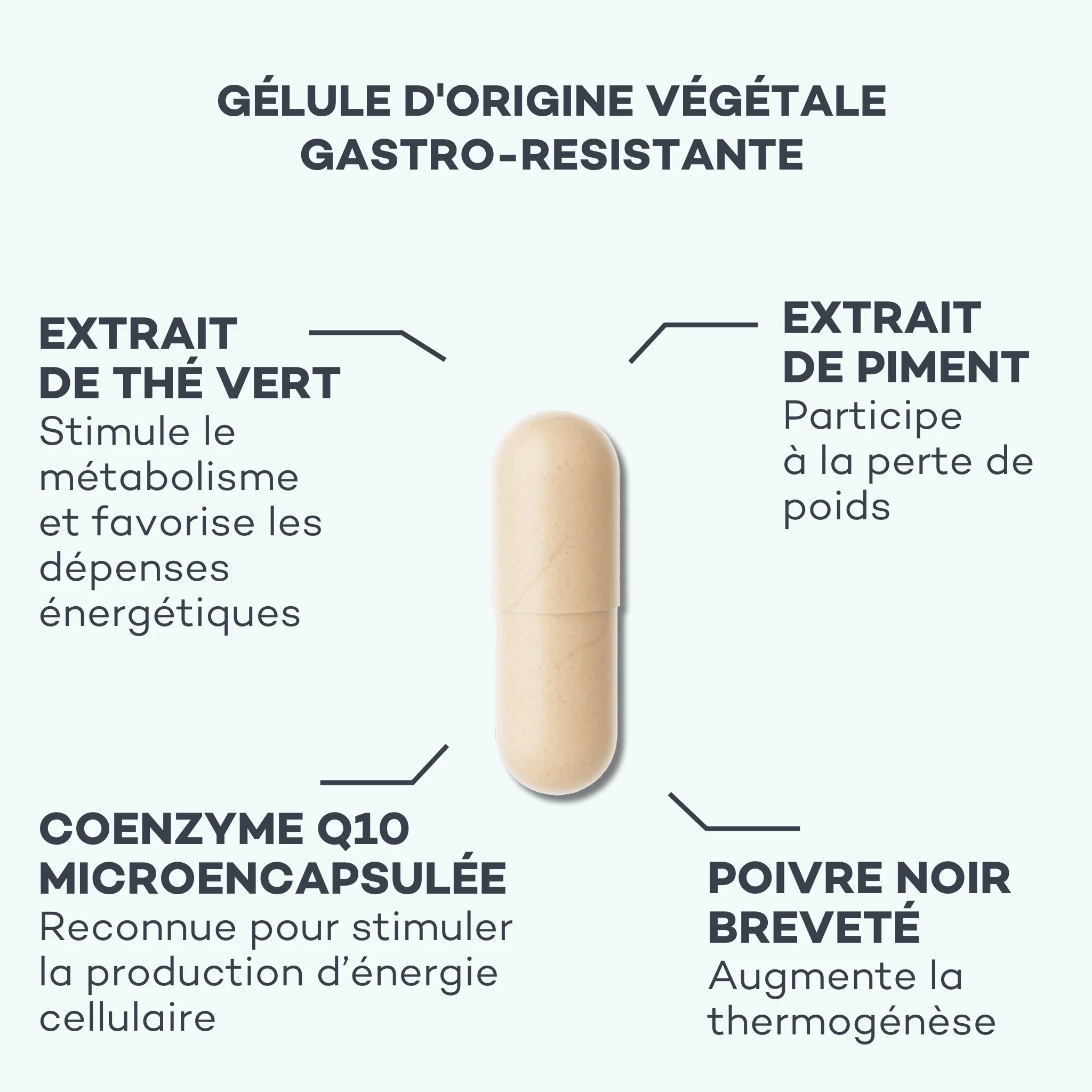 Activateur de Métabolisme - Image 4