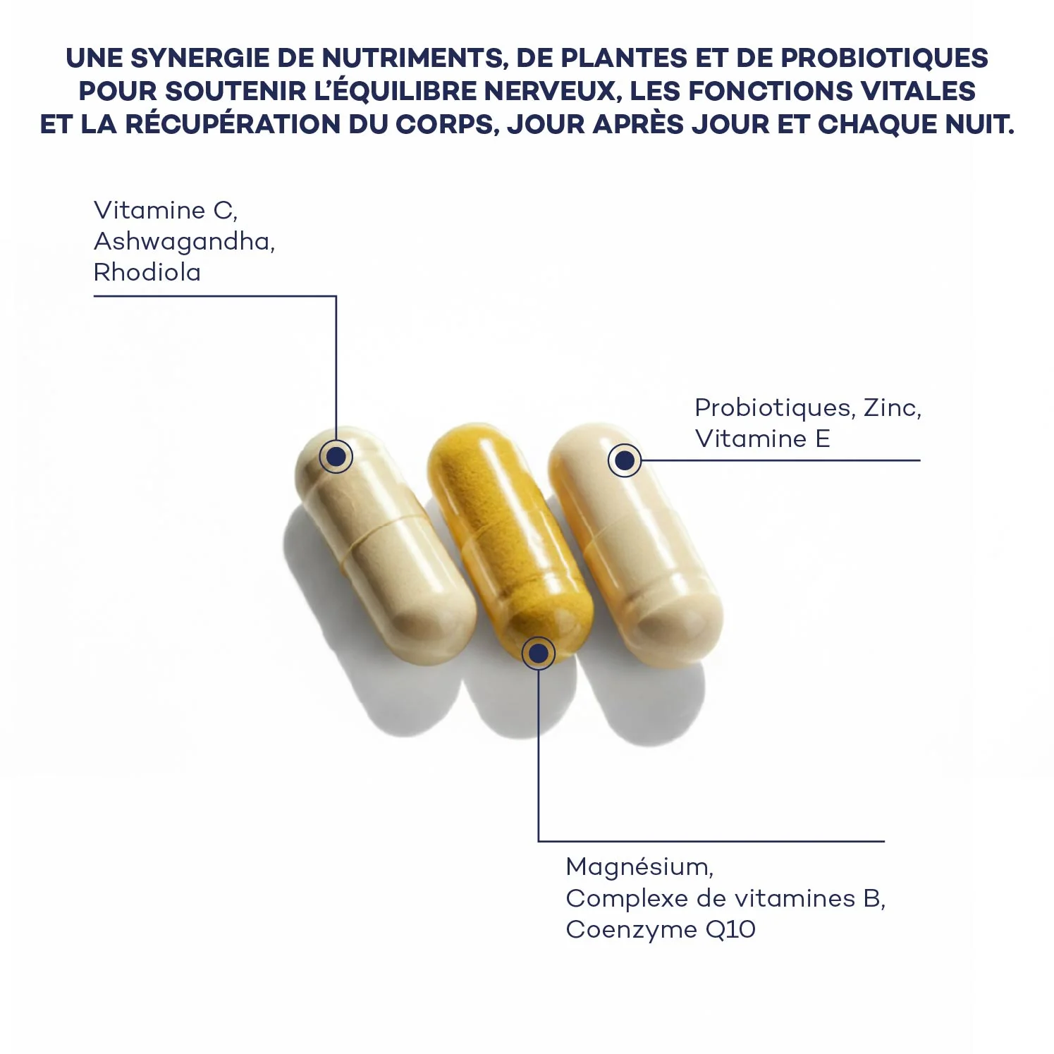 Routine Daily Boost - Image 3