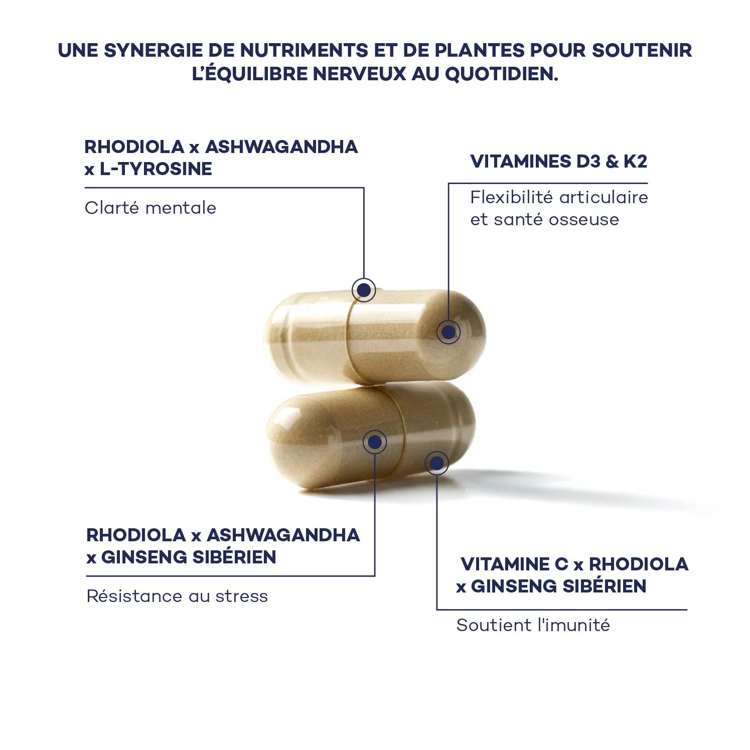Routine Daily Boost - Image 5