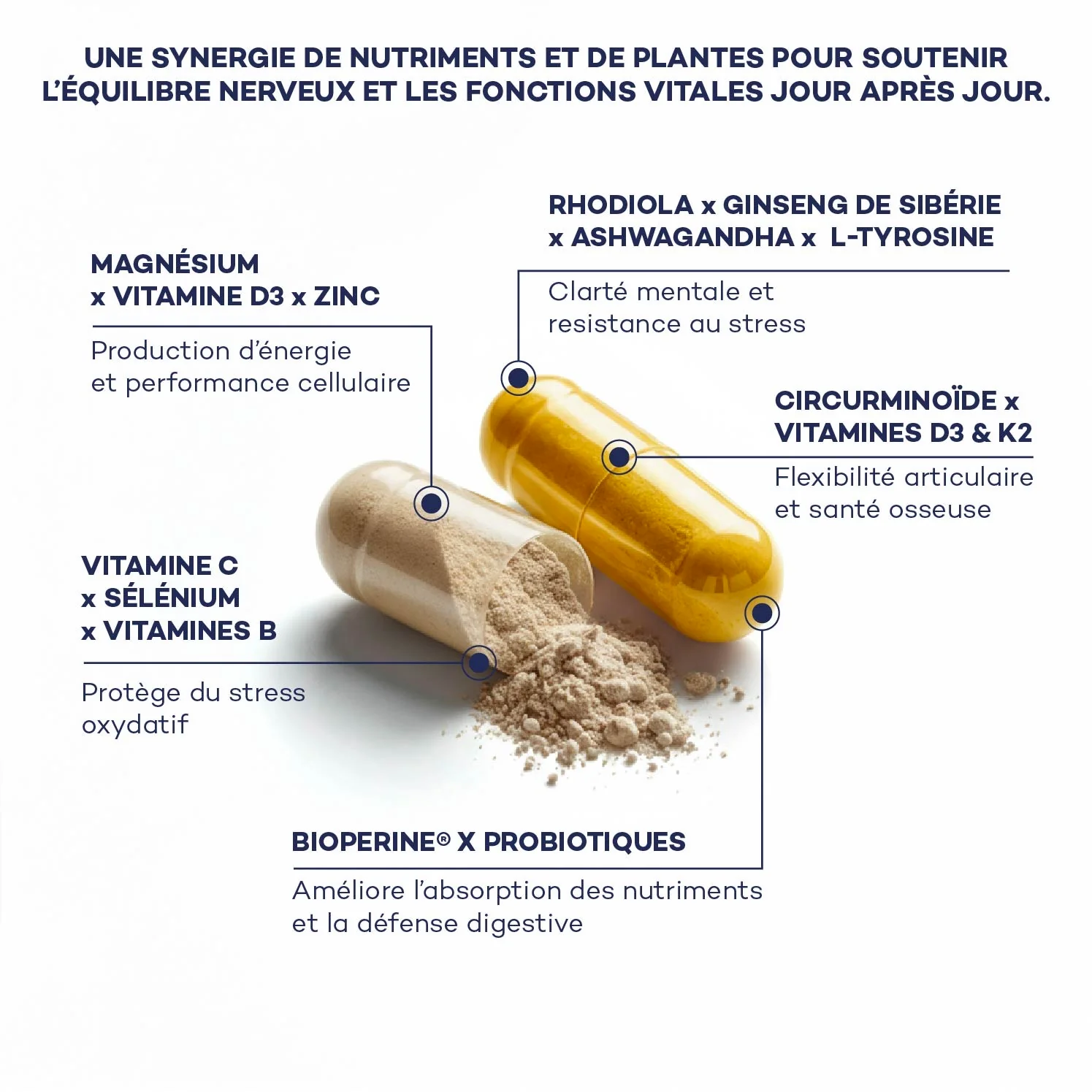 Routine Morning Boost - Image 3
