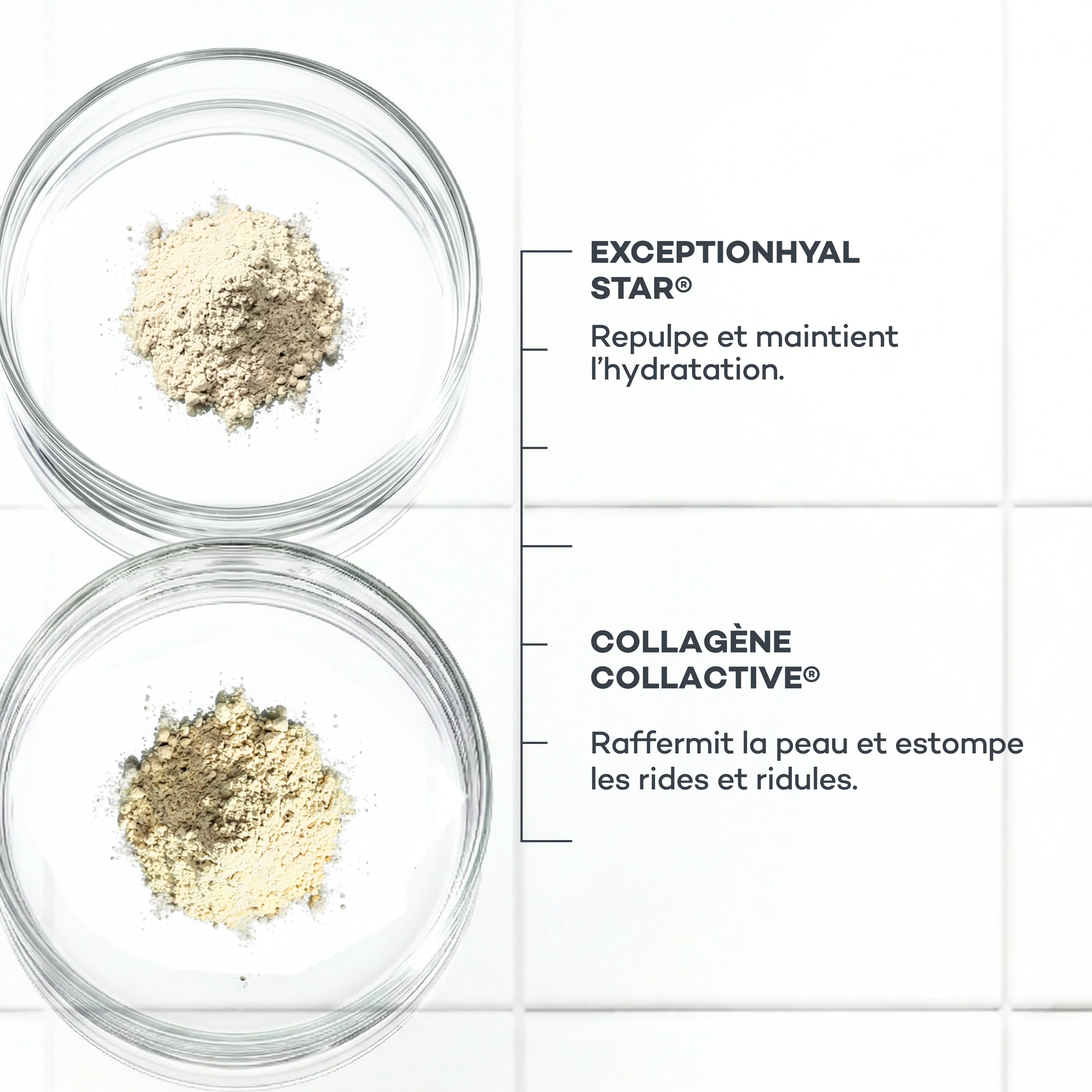 Routine Nutrition-Absolue - Image 5