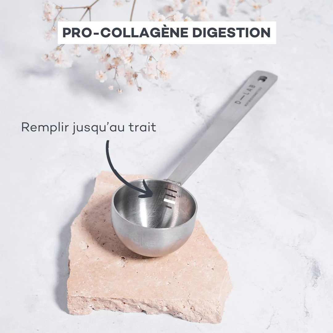 Boisson Digestion - Image 10