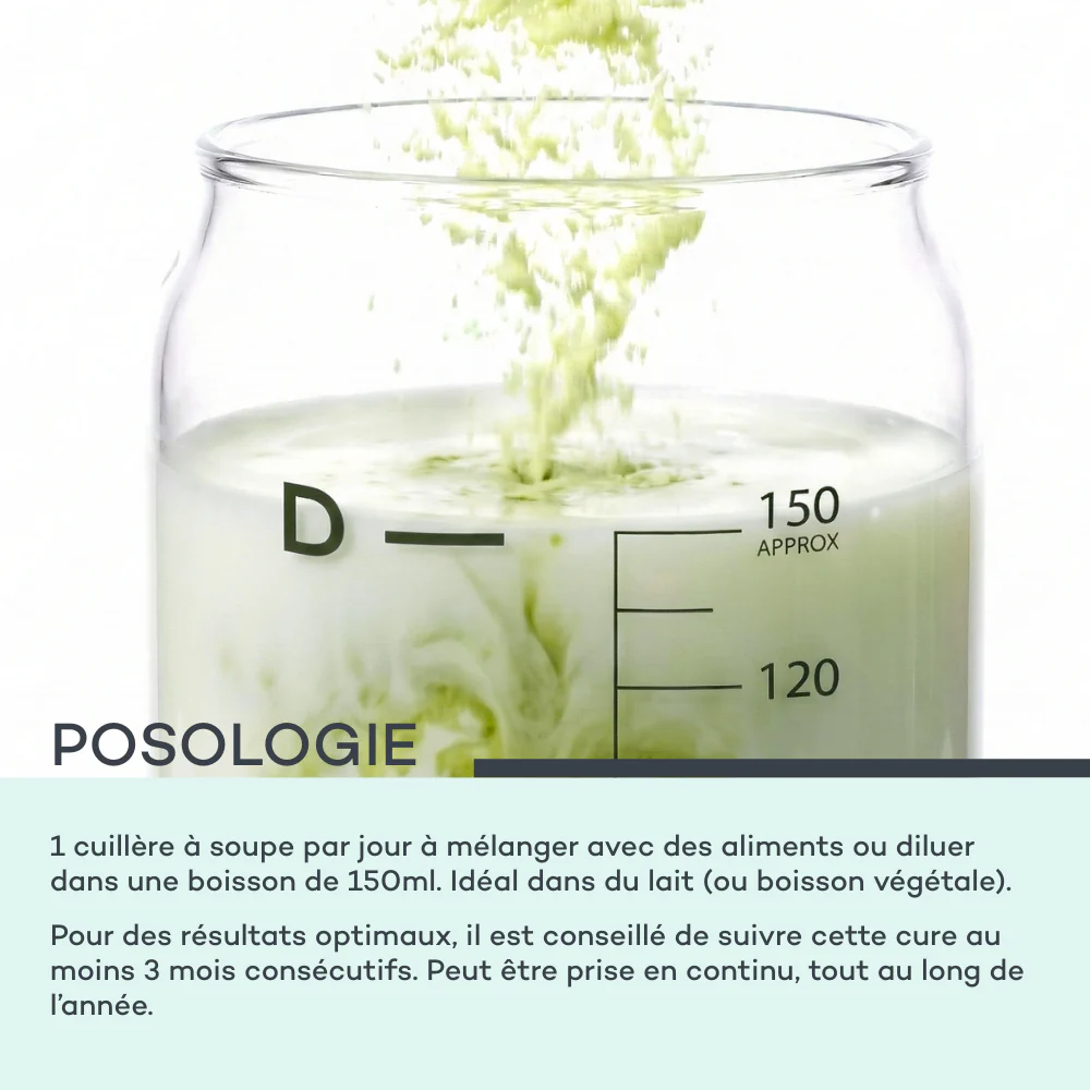 Sticks Peau Neuve - Matcha - Image 8