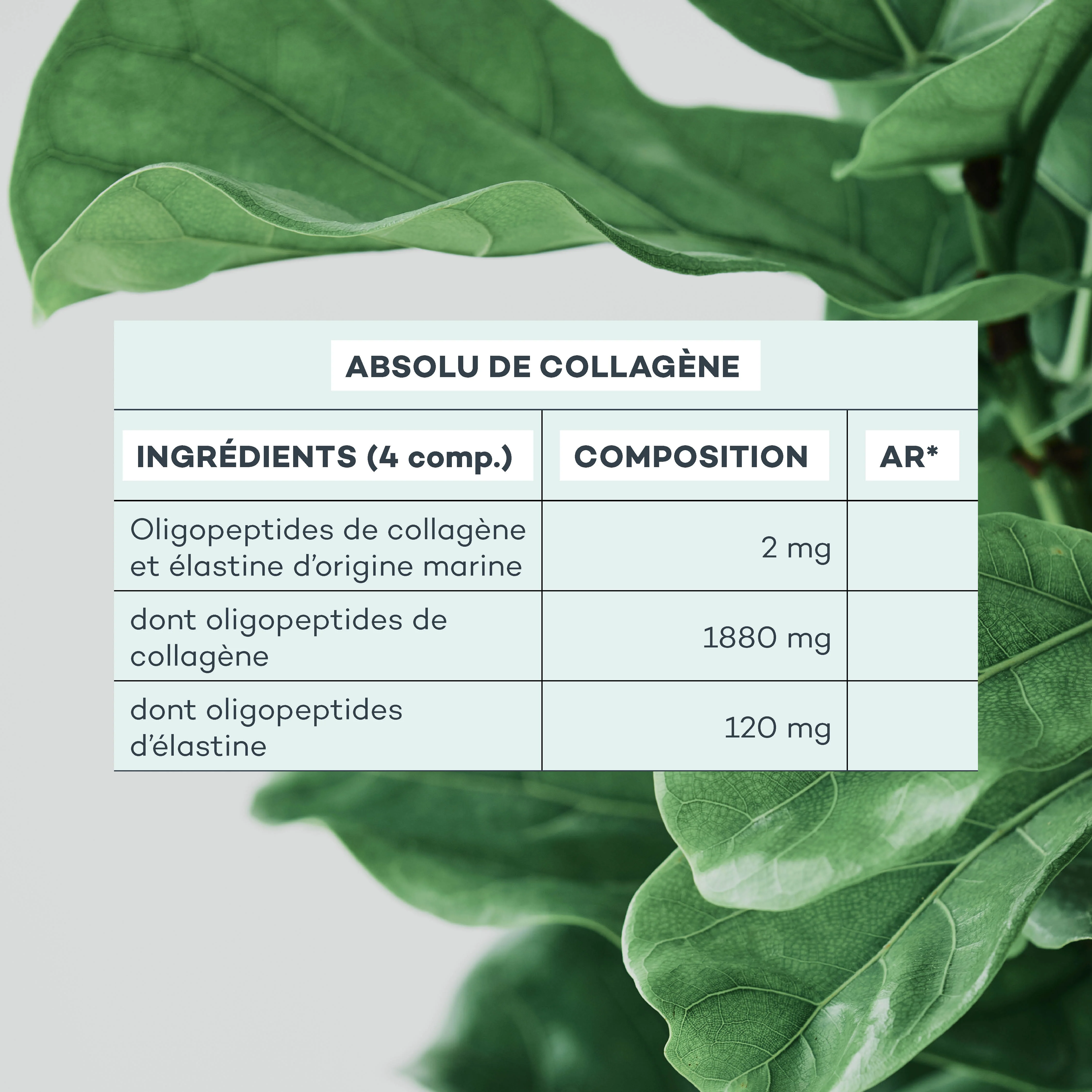 Routine Jeunesse-Absolue - Image 8